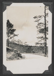 A road to Mines View Park
