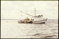 "David Ray" shrimp boat in Gulf of Mexico