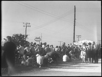Crowd socializing and drinking 