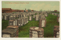 Cotton ready for shipment, Houston, Texas