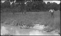 Man and ducks near water