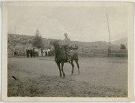 Man posing on horse
