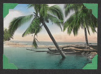 Coconut trees at the coast