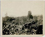 Car driving down a dirt road