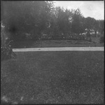 Welcome carved out of flora