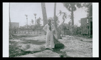 Cardinellie, leaning against a palm tree