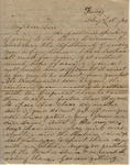 Letter from Mary Jones to Cromwell Anson Jones, 1869 August 13