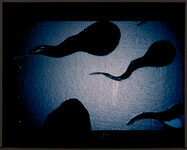 H-217 Fotofest '90 II