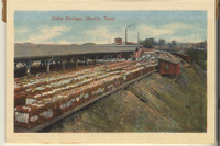 Cotton Blockage, Houston, Texas