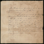 An Ordinance providing for a more efficient organization of the police force