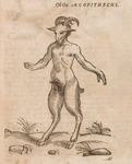 Of the Aegopithecus