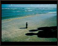 H-194 (Survivors III)