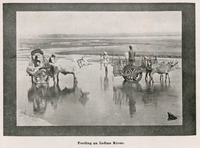 Fording an Indian River