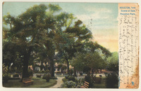 Scene at Sam Houston Park, Houston, Texas 