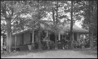 House surrounded by trees and shrubs