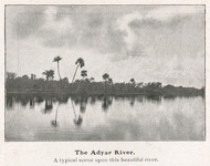 The Adyar River