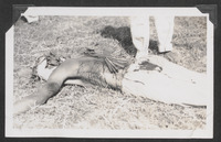 A flagellant on the ground