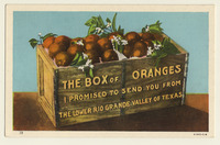 Box of oranges