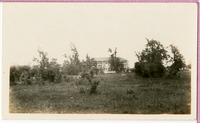 Exterior of Houston Negro Hospital, through foliage