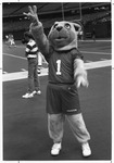 Cougar Mascot at a track and field event