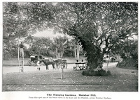 The Hanging Gardens, Malabar Hill.
