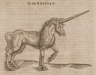 Of the Unicorn