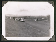Cars stopped to see the sugarcane