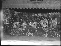 A canopy covering flowers at a grave