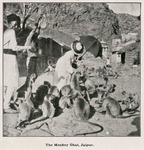 The Monkey Ghat, Jaipur