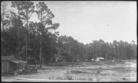 Wooden buildings surrounded by trees