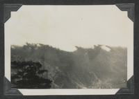 A view of the trees from the outlook pavilion at Mines View Park