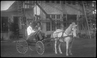 Couple and their dog sitting in horse drawn carriage 