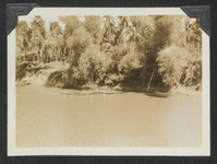 Canoes in the river