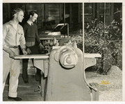 Men working with wood using a table saw