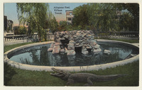 Alligator Pool, El Paso, Texas