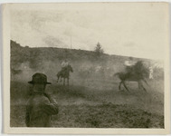 Horse riding at McCoys Ranch