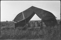 Pots under a canopy shelter