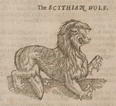 The Scythian Wolf