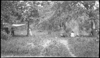 Picnic site with a tended fire and makeshift shade