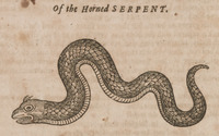 Of the Horned Serpent