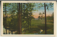 On the links of the Country Club, Houston, Texas