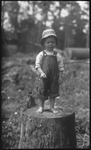 Boy standing on tree stump