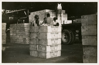 Workers in warehouse