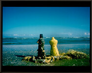 H-197 (Survivors II)