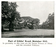 Parts of Gibbs' Road, Malabar Hill