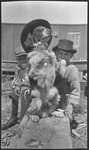 Two boys posing with a dog wearing a hat